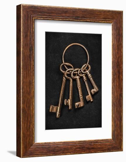 Medieval Keys-maury75-Framed Photographic Print