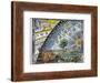 Medieval Missionary Finds a Place Where the Earth Touches Heaven-null-Framed Photographic Print