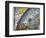 Medieval Missionary Finds a Place Where the Earth Touches Heaven-null-Framed Photographic Print