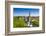 Medieval Town Walls and Spire of St. Olav's Church, Toompea Hill, Estonia, Baltic States, Europe-Nico Tondini-Framed Photographic Print