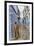Medina, old town, Chefchaouen, Chaouen, Morocco-Ian Trower-Framed Photographic Print