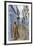 Medina, old town, Chefchaouen, Chaouen, Morocco-Ian Trower-Framed Photographic Print