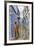 Medina, old town, Chefchaouen, Chaouen, Morocco-Ian Trower-Framed Photographic Print