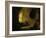 Meditating Philosopher, 1632-Rembrandt van Rijn-Framed Giclee Print