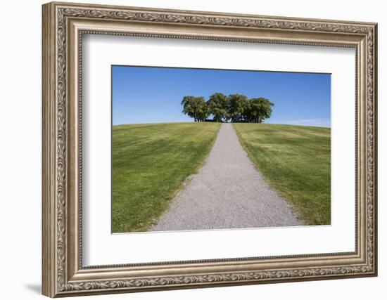 Meditation grove in Skogskyrkogarden, UNESCO World Heritage Site, Stockholm, Sweden, Scandinavia, E-Jon Reaves-Framed Photographic Print