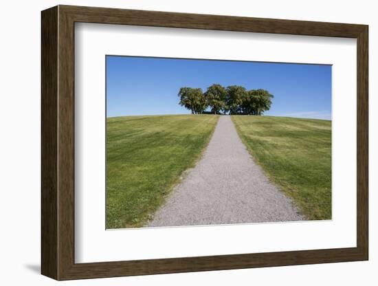 Meditation grove in Skogskyrkogarden, UNESCO World Heritage Site, Stockholm, Sweden, Scandinavia, E-Jon Reaves-Framed Photographic Print