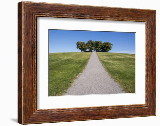 Meditation grove in Skogskyrkogarden, UNESCO World Heritage Site, Stockholm, Sweden, Scandinavia, E-Jon Reaves-Framed Photographic Print