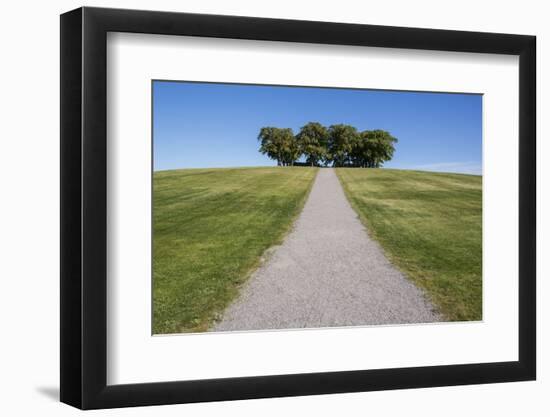 Meditation grove in Skogskyrkogarden, UNESCO World Heritage Site, Stockholm, Sweden, Scandinavia, E-Jon Reaves-Framed Photographic Print