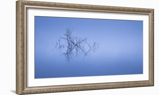 Meditation in Blue-Doug Chinnery-Framed Photographic Print