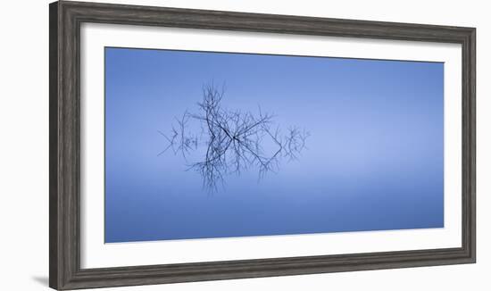 Meditation in Blue-Doug Chinnery-Framed Photographic Print