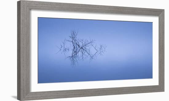 Meditation in Blue-Doug Chinnery-Framed Photographic Print