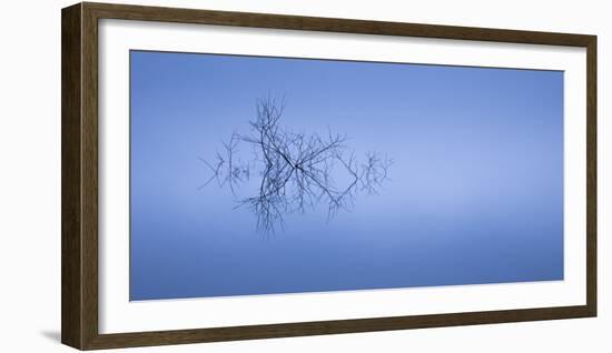 Meditation in Blue-Doug Chinnery-Framed Photographic Print