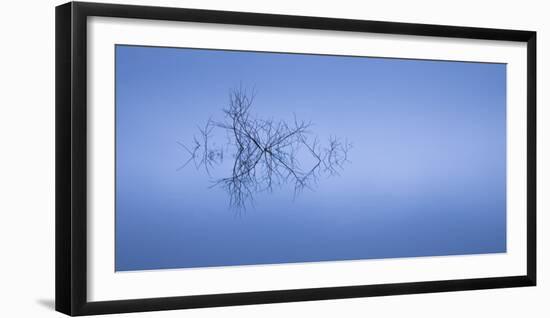 Meditation in Blue-Doug Chinnery-Framed Photographic Print