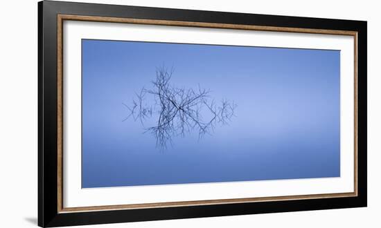 Meditation in Blue-Doug Chinnery-Framed Photographic Print