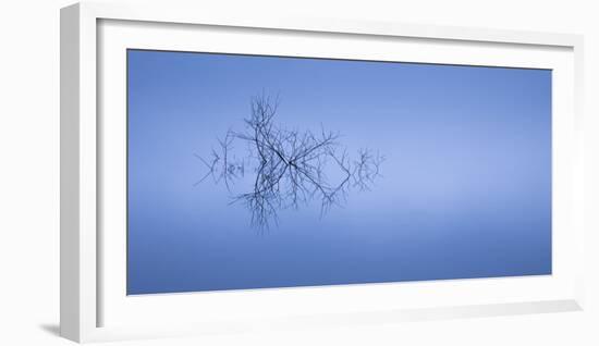 Meditation in Blue-Doug Chinnery-Framed Photographic Print