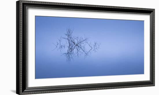 Meditation in Blue-Doug Chinnery-Framed Photographic Print