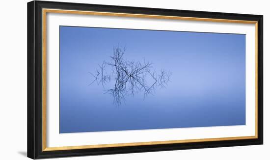 Meditation in Blue-Doug Chinnery-Framed Photographic Print