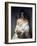 Meditation-Francesco Hayez-Framed Art Print