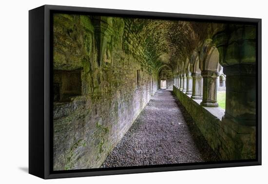 Meditative passageway is part of Moyne Abbey, one of the largest and most intact abbeys in Ireland.-Betty Sederquist-Framed Premier Image Canvas