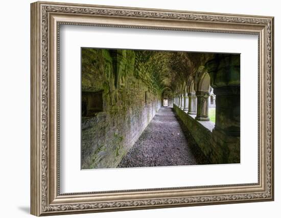 Meditative passageway is part of Moyne Abbey, one of the largest and most intact abbeys in Ireland.-Betty Sederquist-Framed Photographic Print