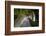 Meditative passageway is part of Moyne Abbey, one of the largest and most intact abbeys in Ireland.-Betty Sederquist-Framed Photographic Print