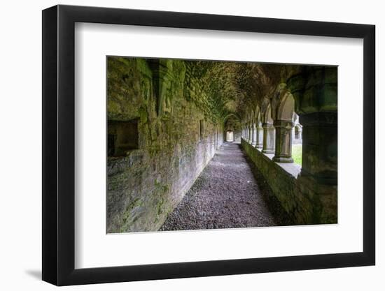 Meditative passageway is part of Moyne Abbey, one of the largest and most intact abbeys in Ireland.-Betty Sederquist-Framed Photographic Print