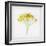 Meditative Yellow-Daniela Savone-Framed Photographic Print