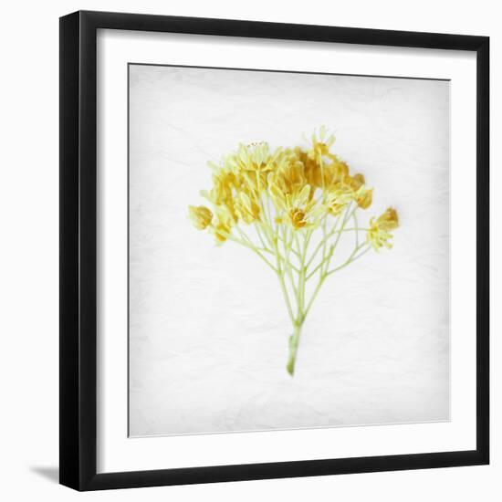Meditative Yellow-Daniela Savone-Framed Photographic Print
