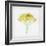 Meditative Yellow-Daniela Savone-Framed Photographic Print