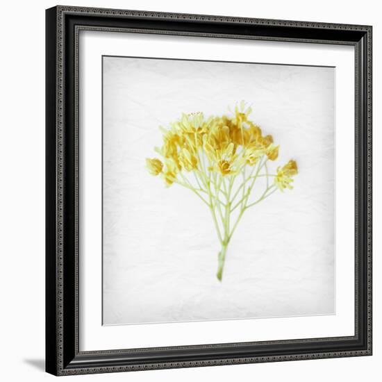 Meditative Yellow-Daniela Savone-Framed Photographic Print