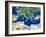 Mediterranean Basin, Satellite Image-PLANETOBSERVER-Framed Photographic Print