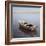 Mediterranean Boat #2-Alan Blaustein-Framed Photographic Print