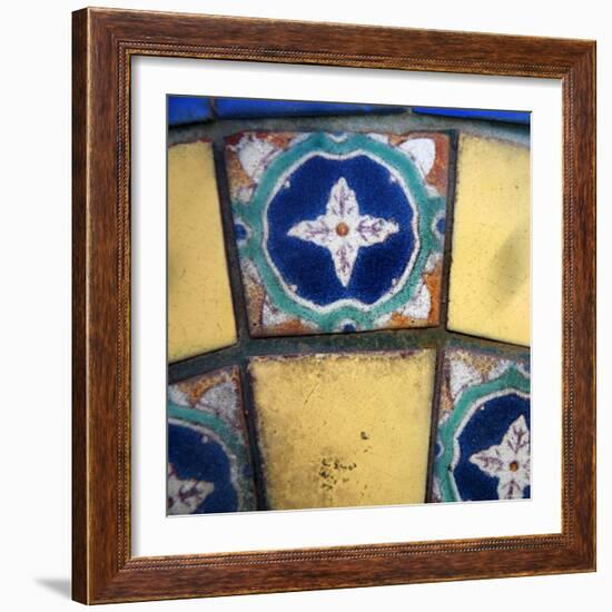 Mediterranean Close Up II-Nicole Katano-Framed Photo