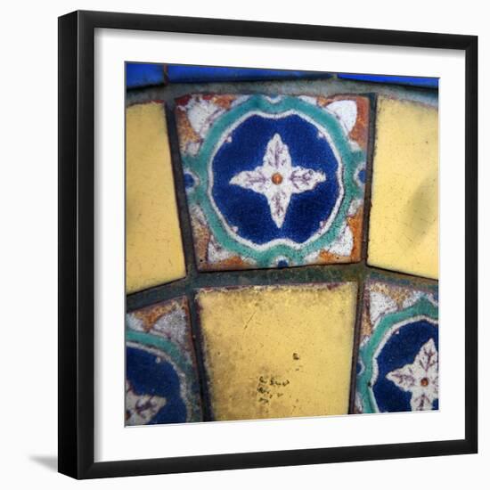 Mediterranean Close Up II-Nicole Katano-Framed Photo