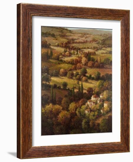 Mediterranean Countryside-Hulsey-Framed Art Print