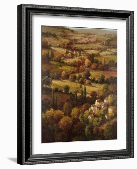 Mediterranean Countryside-Hulsey-Framed Art Print