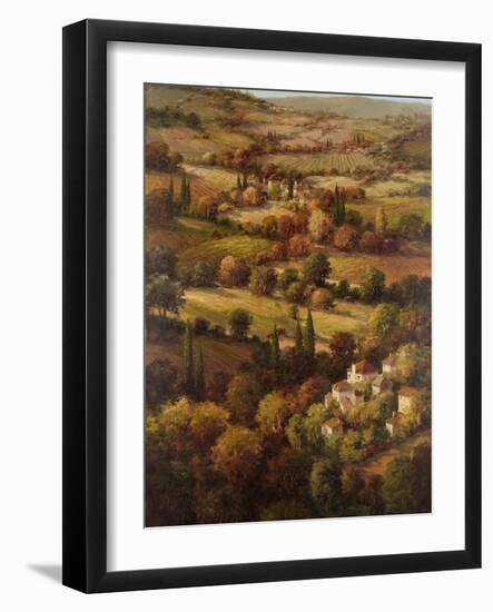 Mediterranean Countryside-Hulsey-Framed Art Print