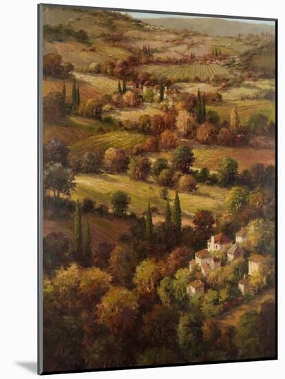 Mediterranean Countryside-Hulsey-Mounted Art Print