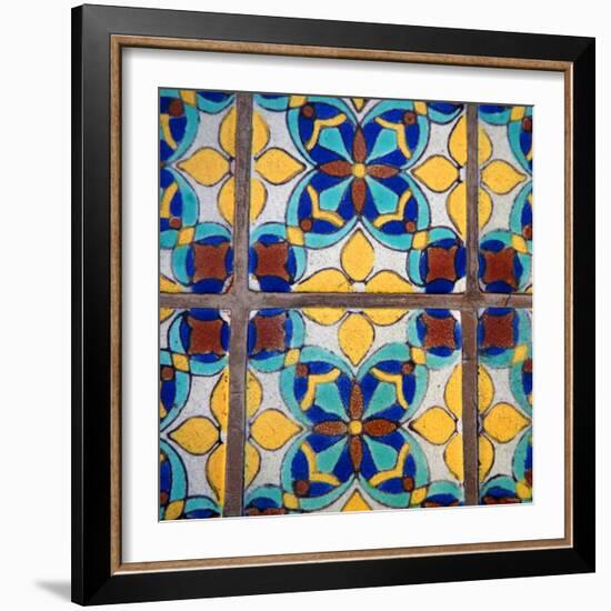 Mediterranean Damask II-Nicole Katano-Framed Photo