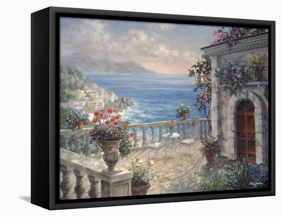 Mediterranean Elegance-Nicky Boehme-Framed Premier Image Canvas