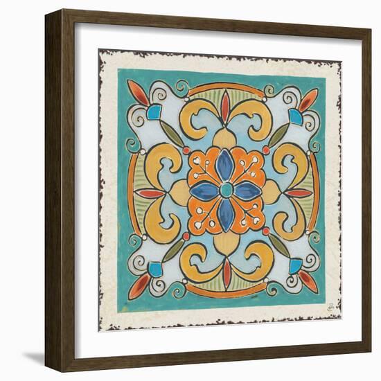 Mediterranean Flair VII-Daphne Brissonnet-Framed Art Print