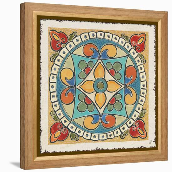 Mediterranean Flair X-Daphne Brissonnet-Framed Stretched Canvas