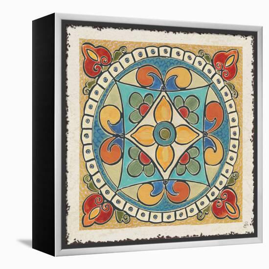 Mediterranean Flair X-Daphne Brissonnet-Framed Stretched Canvas