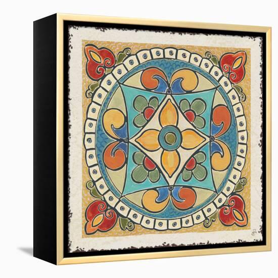 Mediterranean Flair X-Daphne Brissonnet-Framed Stretched Canvas