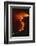 Mediterranean Forest Fire at Night, Spain-Jose B. Ruiz-Framed Photographic Print