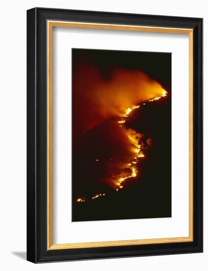 Mediterranean Forest Fire at Night, Spain-Jose B. Ruiz-Framed Photographic Print