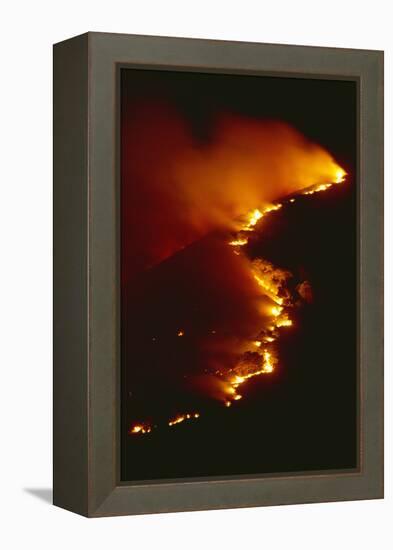 Mediterranean Forest Fire at Night, Spain-Jose B. Ruiz-Framed Premier Image Canvas