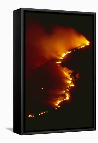 Mediterranean Forest Fire at Night, Spain-Jose B. Ruiz-Framed Premier Image Canvas