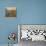 Mediterranean Impressions IX-Megan Meagher-Premium Giclee Print displayed on a wall