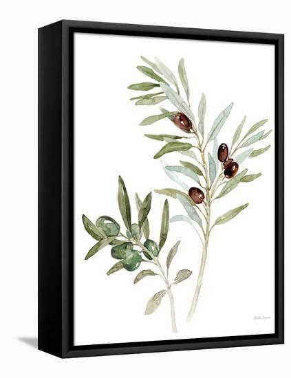 Mediterranean Motif IX on White-Beth Grove-Framed Stretched Canvas